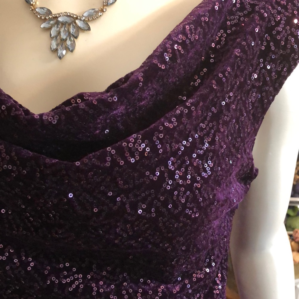 Sequined Stretch Velvet Dress 12